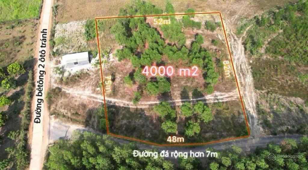 Ninh tân 3990m2, 1500m2 thổ, ngang bám đường tới 48m, ngay sát dân cư, cạnh cao tốc và dt5 ninh tân