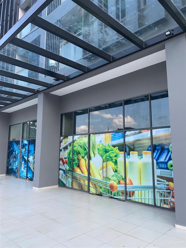 Shophouse 132m2 mặt tiền đường nguyễn văn linh. giá full 15 tỷ