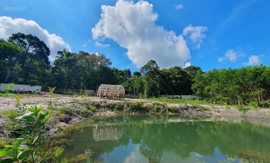 Lô đất view rừng nguyên sinh biển hồ cốc hồ tràm gần cao tốc hồ tràm long thành