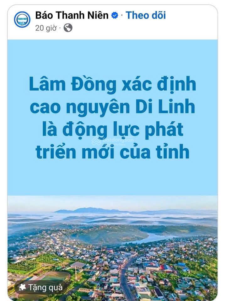 Di linh, mặt tiền nhựa container 28m tại hòa ninh, 4.660m², 400m² thổ cư làm homestay cực đẹp