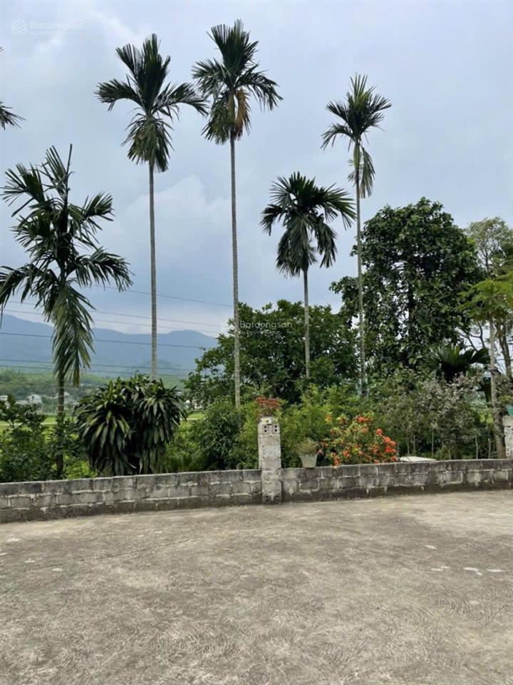 Bán gấp nhà vườn ao cá 2.553m2 đại phú, sơn dương, tuyên quang chỉ 2ty***