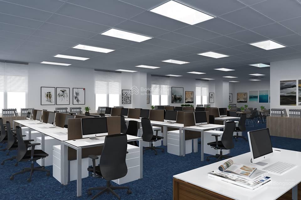 Bán gấp tòa nhà 9 tầng có hầm phố cát linh, tôn đức thắng. dt 180m2, đang cho thuê gần 3 tỷ/năm