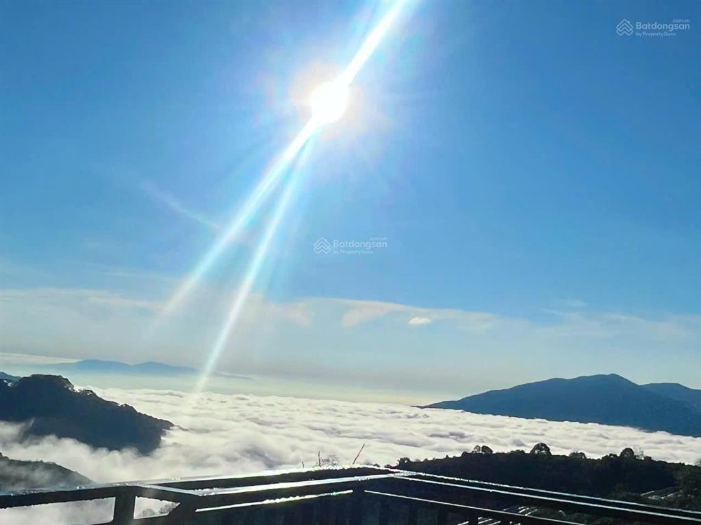 7181m2 đất nn, có sẵn homestay, tại phường xuân trường đà lạt, view săn mây, giáp rừng thông