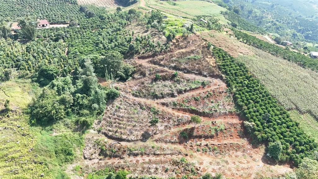 Chủ gửi bán gấp 1,2 ha view sông tại tân thanh lâm hà giá chỉ 2tỷ5