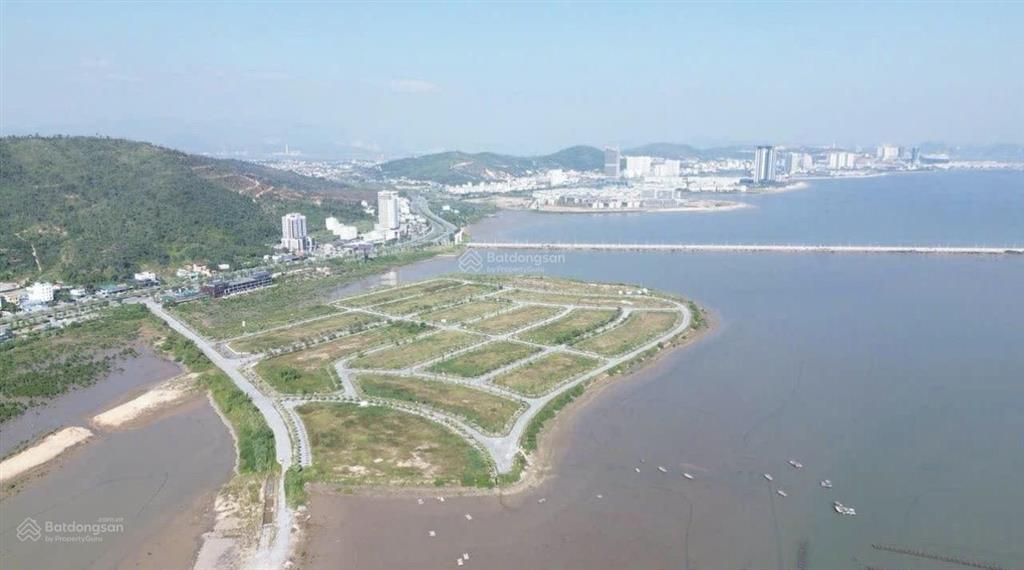 Chính chủ bán đất biệt thự đảo hoa 300m2 giáp biển, nối liền dự án vinhomes hạ long xanh