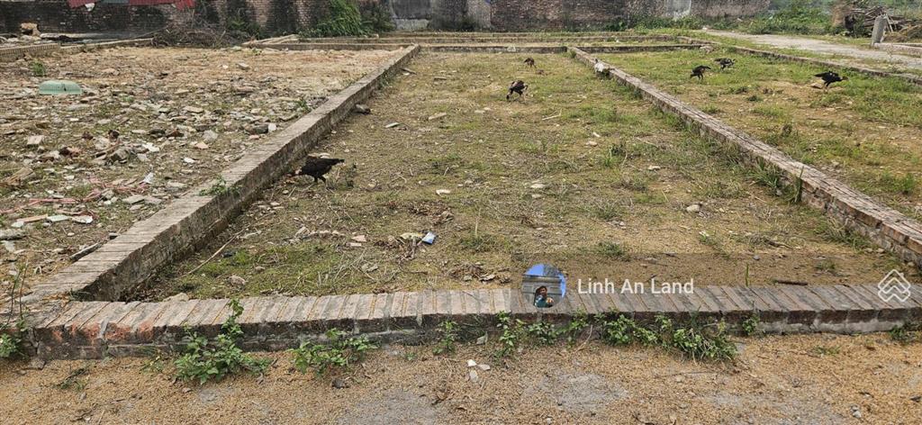 Bán 69m2 tổ 9 tt quang minh ô tô 7 chỗ ngủ trong đất nhỏ tiền, vuông vắn