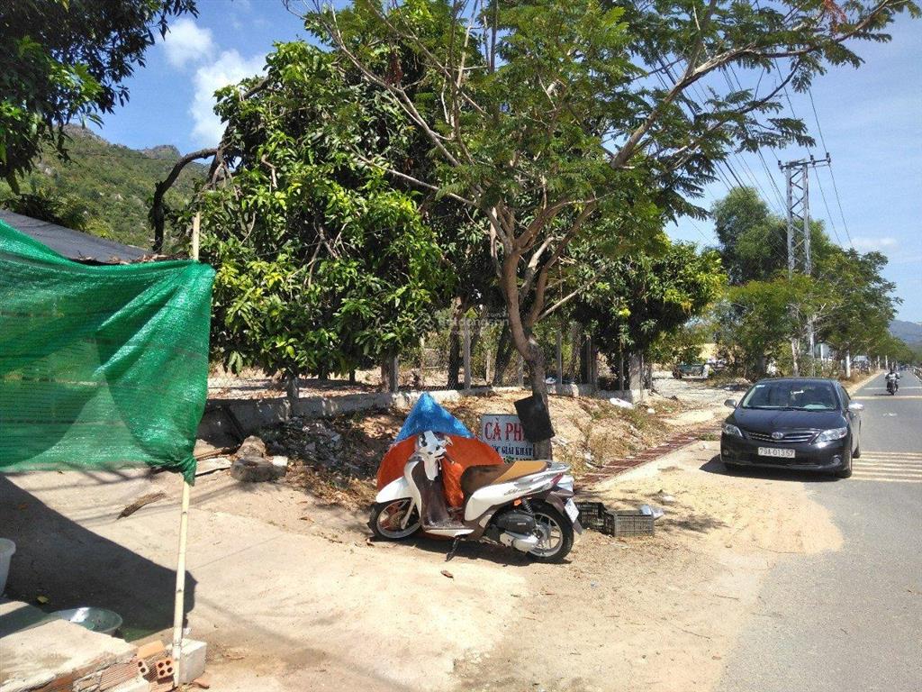 Bán đất mặt tiền đường nguyễn tất thành, 105 tỷ, 11.000 m2, ngang 39m, pháp lý đầy đủ
