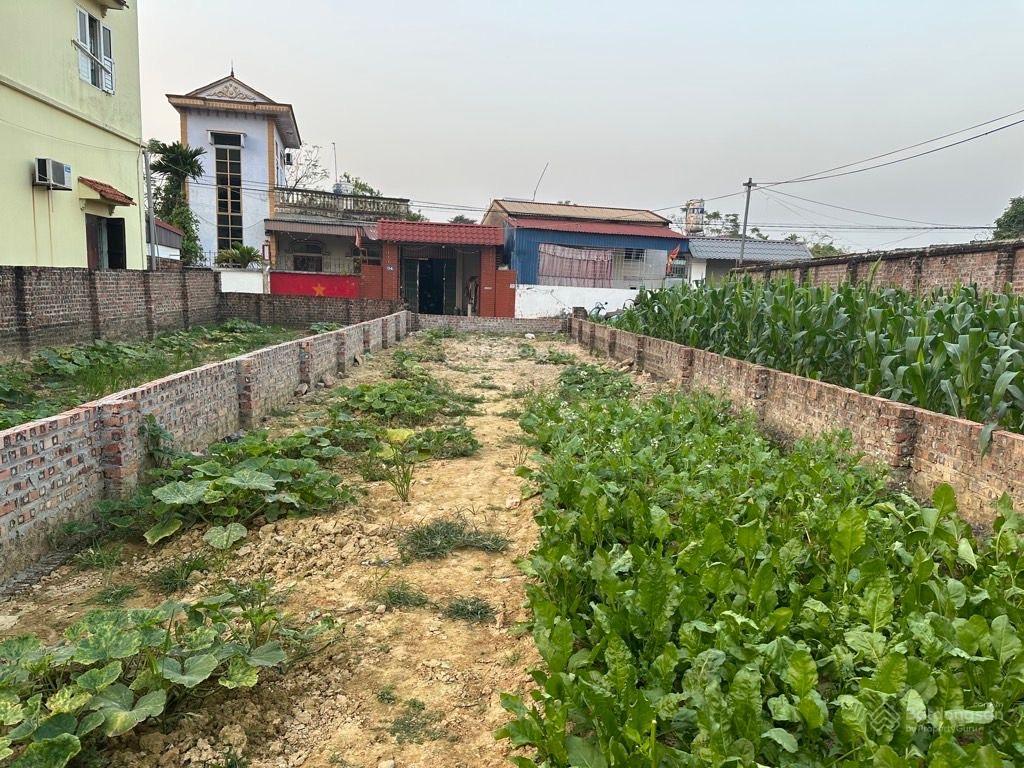 Bán đất thái lai kim anh, đường ô tô tải 140m², giá 3 tỷ
