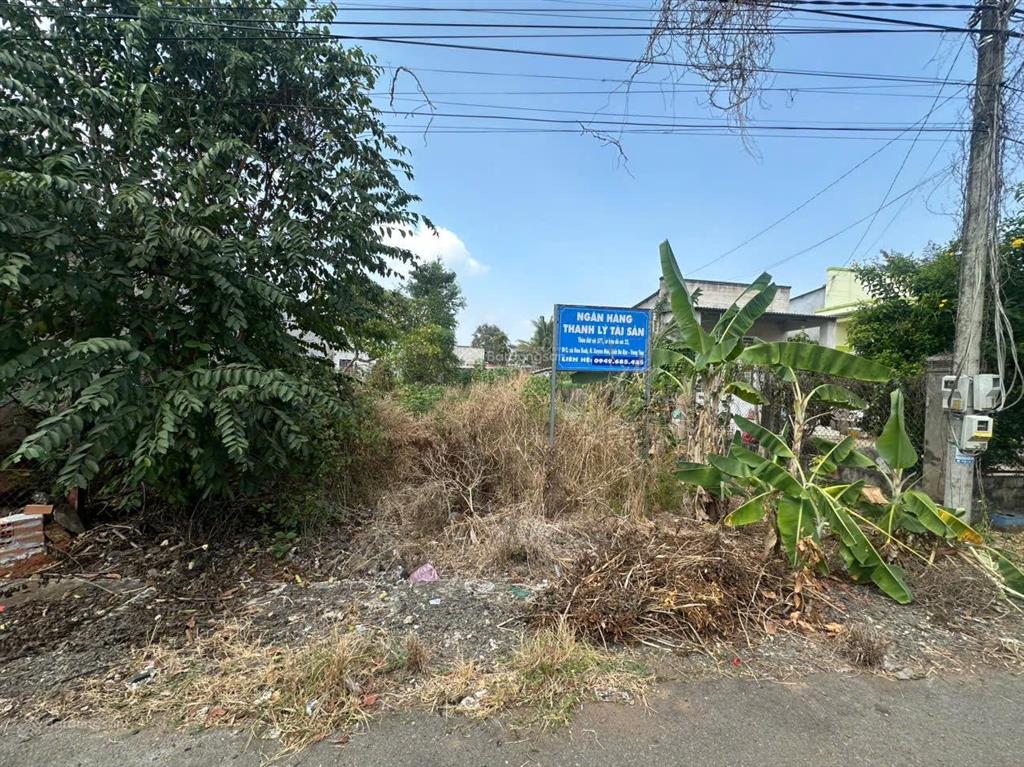 Bán đất 280m² tại xã hòa bình, xuyên mộc, bà rịa vũng tàu, giá 1,508 tỷ