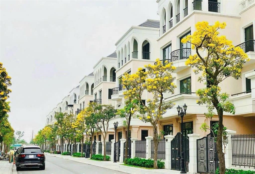 Giảm sâu bán gấp! bán gấp biệt thự song lập ocean park 2 cạnh công viên, dt 127.5m2, giá chỉ 16 tỷ