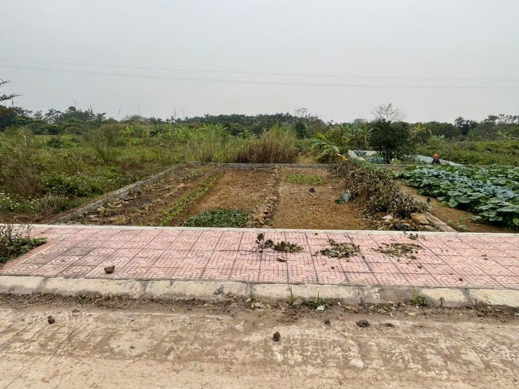 Chính chủ bán đất phân lô đấu giá Phúc Sơn - Hà Nội