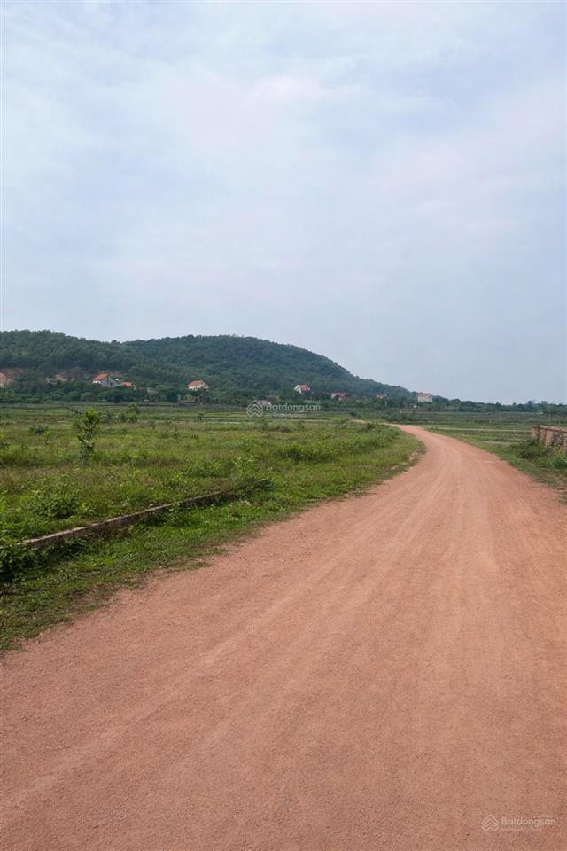 Chính chủ cần bán lô đất diện tích lớn tại bắc an, chí linh, hải dương (cũ) giá chỉ 9,5 triệu/m2