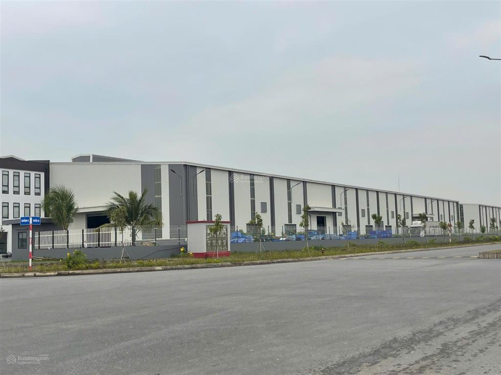 Bán 4000m2 kho, nhà xưởng ngay ccn kim thái, kcn bảo minh vụ bản, nam định. đất trả tiền một lần