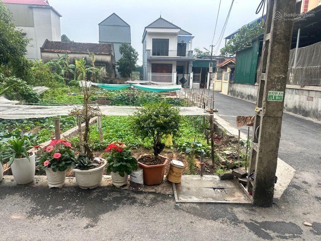 Nghĩa trụ văn giang 2.6 tỷ có lô đất 48m2 ô tô tránh, sát vin 2,3 đẳng cấp trâu âu, gần chợ trường