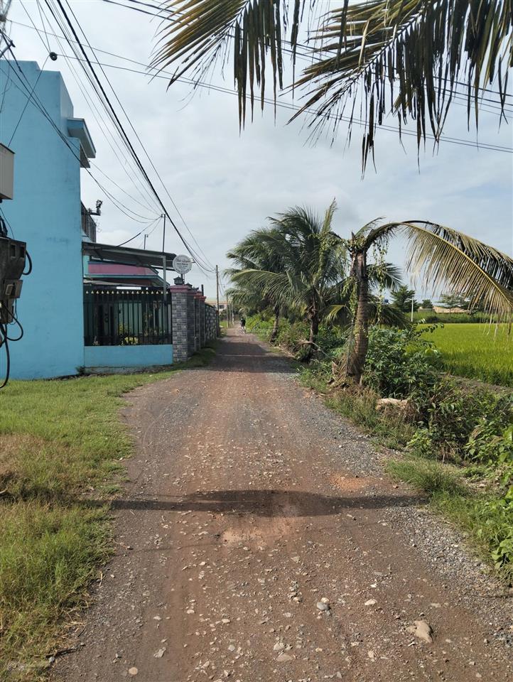 3400m2 full thổ cư long khê, cần đước gần sài gòn đường xe tải giá rẻ