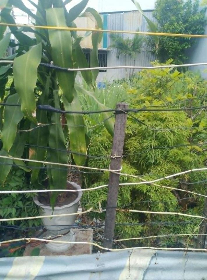 Bán Lô Đất DT 12 x 20, Sổ Riêng thổ cư 100%, khu cư Xá Phúc Hải, Phường Tân Phong