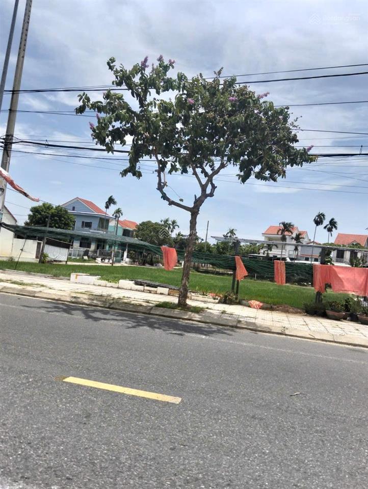 Giá hời lô đất vip view lúa trước sau đường ô tô đậu đỗ, cách tt phố cổ chỉ 1,6km