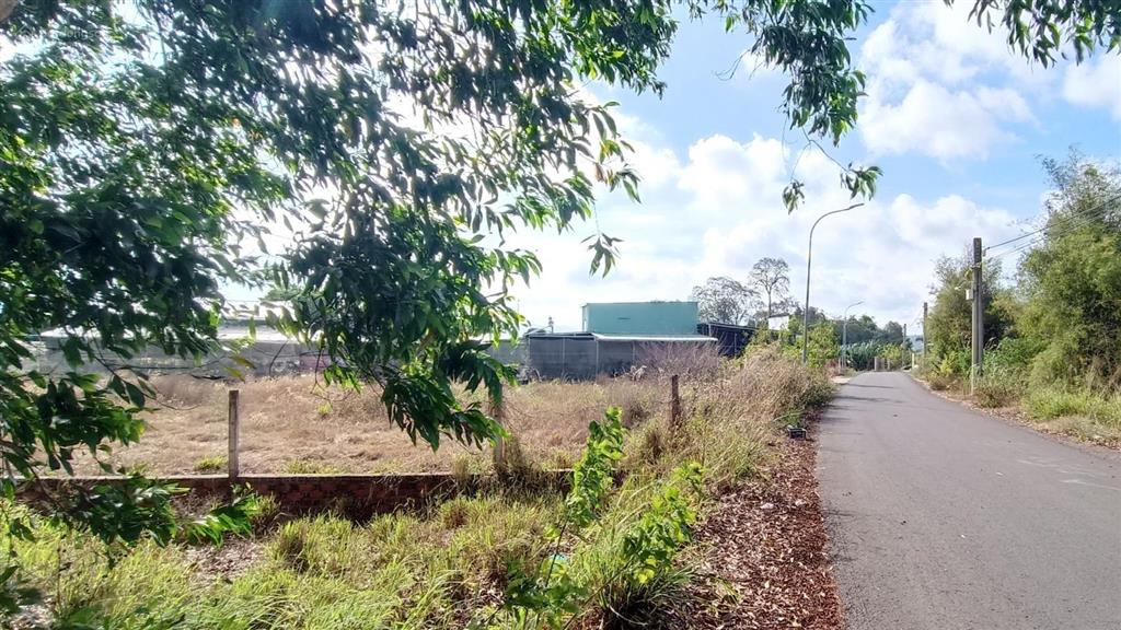 4400 m2 (300 thổ cư)38m mặt tiền có thể làm kho bãi, nhà nghỉ, nhà trọ, cho thuê, đầu tư |giá 11tỷ