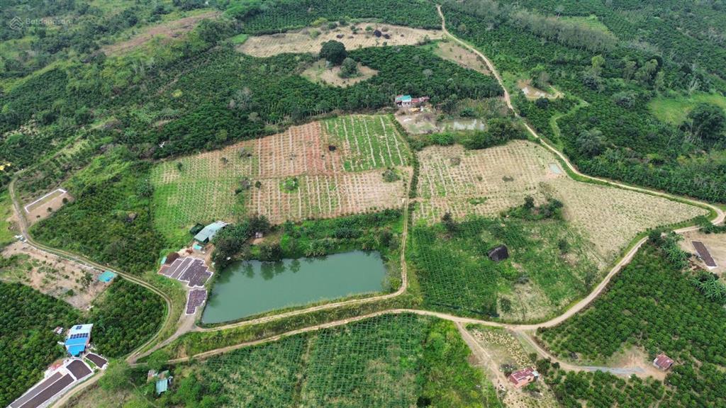 Bán đất đẹp 32.314m2, đường ô tô, mt 390m, có nhà trên đất, view đẹp, ninh gia đức trọng