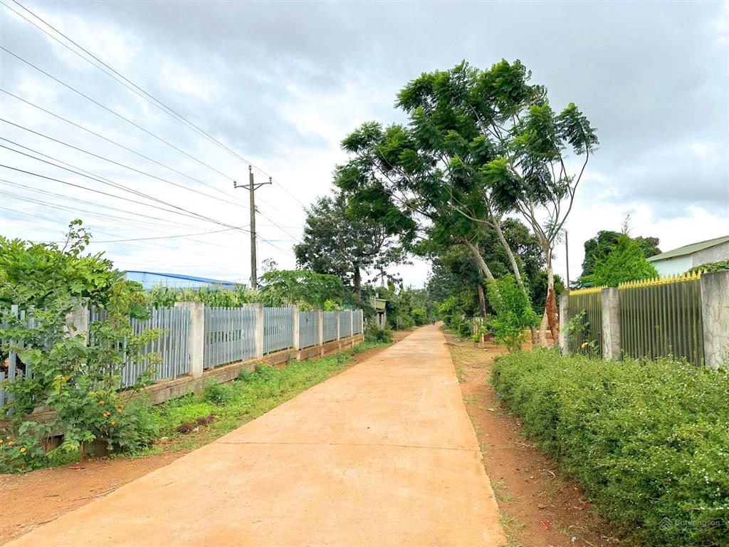 Bán 561m2 6m x 100m, 100m2 thổ cư tại xã tân hội mới