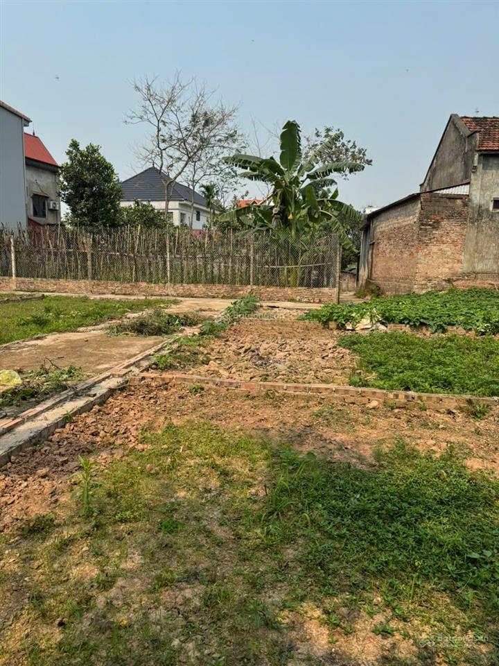 Tôi cần bán đất 40m trạch lôi phúc thọ hà nội