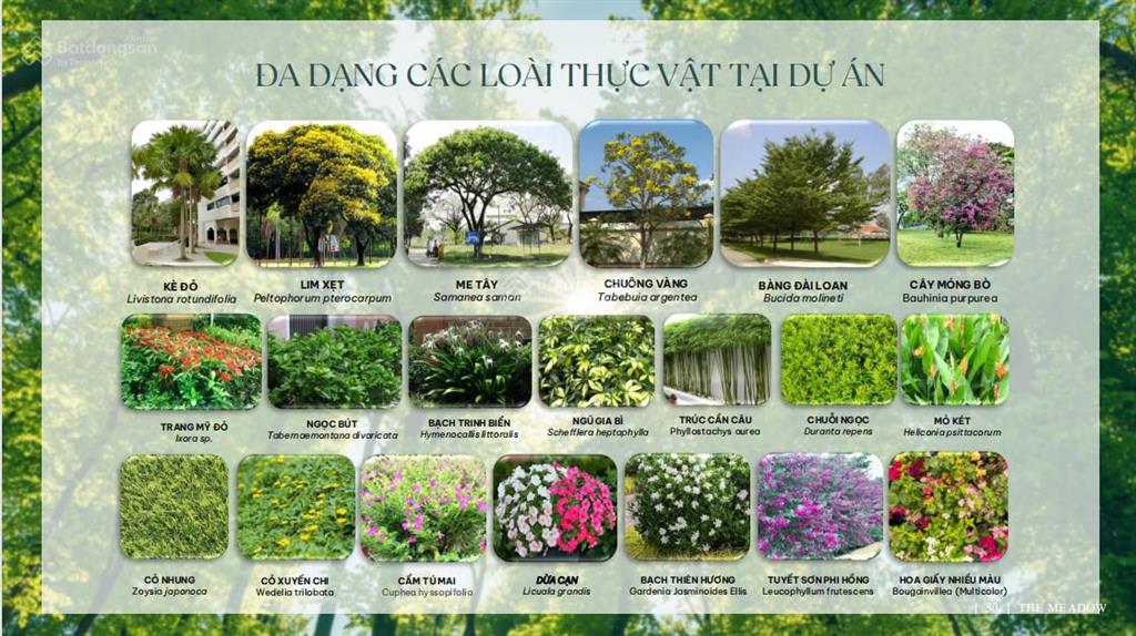 Nhà phố the meadow bình chánh chỉ 20% nhận nhà, trả chậm 5 năm 0% lãi suất