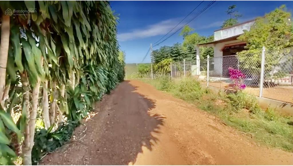 Bán đất 1 hecta có 500m2 thổ cư ccn bù nho 75 hecta phú riềng đồng nai, cách đt 741 khoảng 200m
