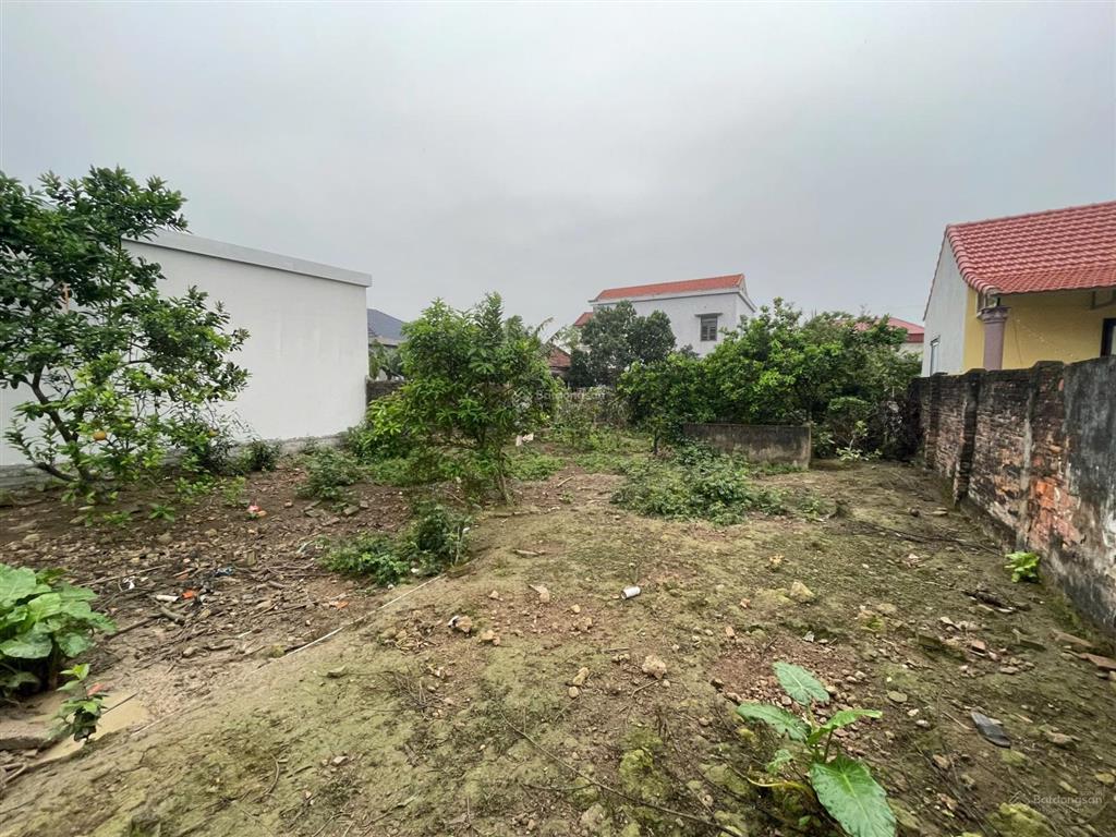 Chính chủ gửi bán lô đất thổ cư 345m², mt 12,5m, full thổ cư, vuông vắn, vị trí đẹp. giá chỉ 2 tỷ