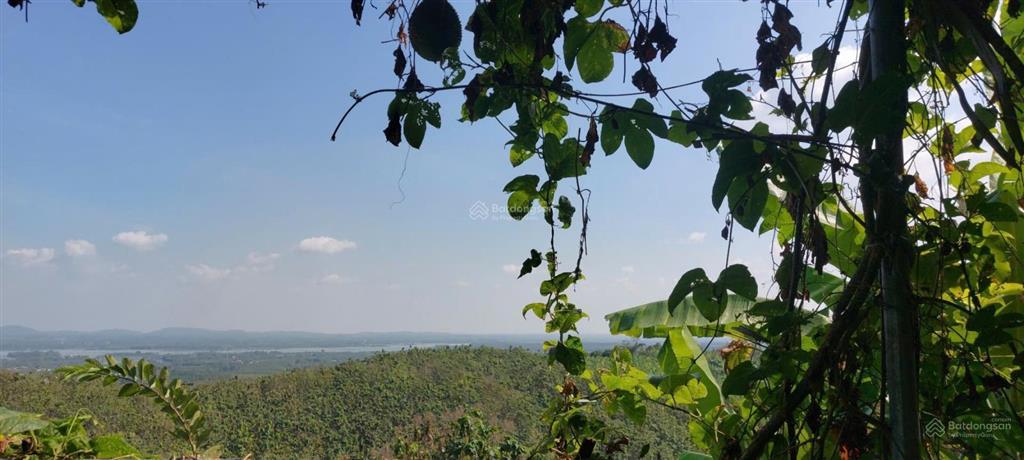 Đất nhà vườn view hồ trị an, ql20 ngang lớn 22m mặt tiền đường bê tông shr