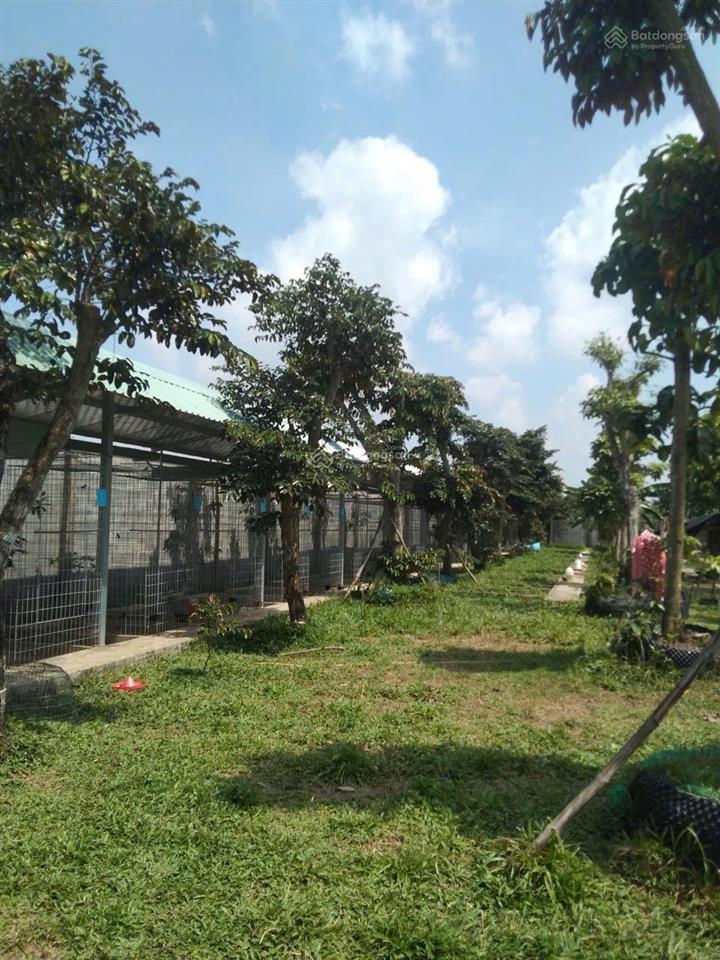 Giá bán 12,5 tỷ 2800m² lạc tấn, tân trụ, long an (địa chỉ mới thuộc xã nhựt tảo, tây ninh)