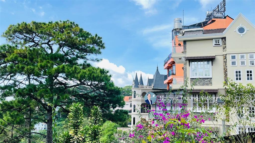 Chỉ hơn 16,x tỷ có đất xây khách sạn 16 x 20 mét, đặng thái thân view thông vĩnh viễn tại đà lạt