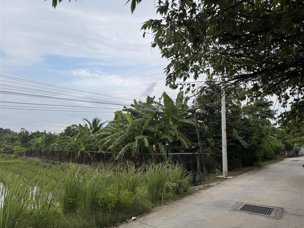 Bán 1.792,6m2 đất vườn đường đoàn nguyễn tuấn, tân quý tây, bình chánh, hcm, giá 16 tỷ vnd