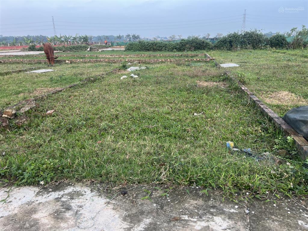 1,9 tỷ bạn có ngay lô đất vị trí đắc địa dt 45m2 full sổ đẹp đồng lạc tiên dược sóc sơn
