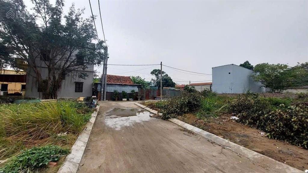 Hàng hiếm khu đấu giá siêu quần ô tô tránh nhau, đất nở hậu giá đầu tư