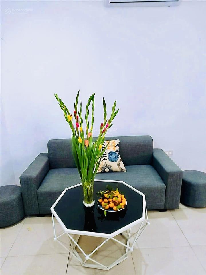 Gia đình bán nhanh căn 48m2, đầy đủ nội thất giá siêu rẻ chỉ 2,75 tỷ tòa ruby city ct3 phúc lợi.