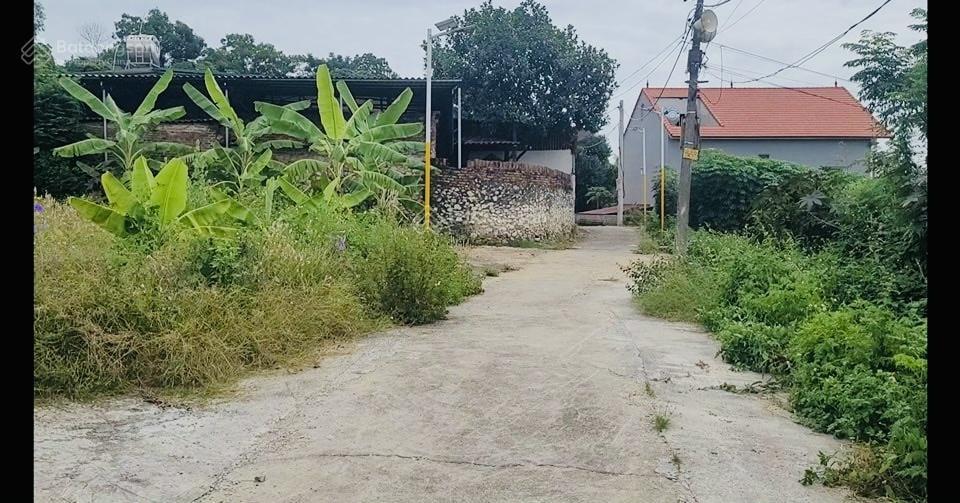 Ngân hàng thanh lý 93,1m2 đất phân lô thửa 189 xã châu phong, quế võ, bắc ninh 04012101