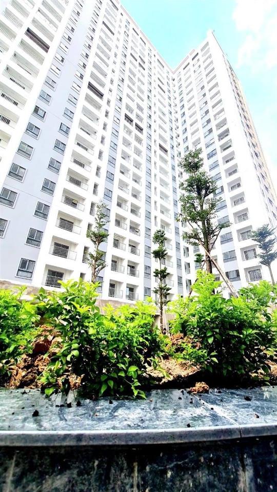 Bán căn hộ chung cư chính chủ block b tại iris tower, 1,29 tỷ, 45 m2