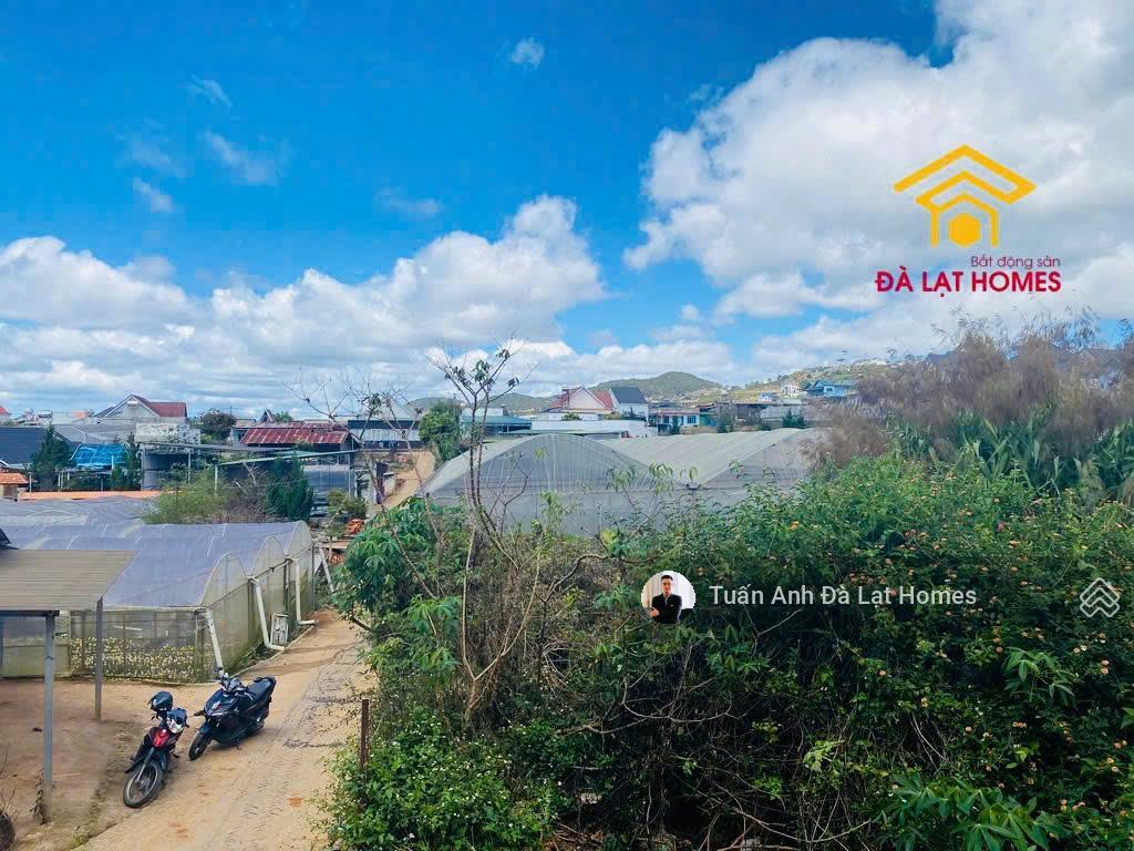 Bán đất xuân thọ đà lạt cách ql20 20m view thung lũng đẹp, thích hợp homestay nghỉ dưỡng