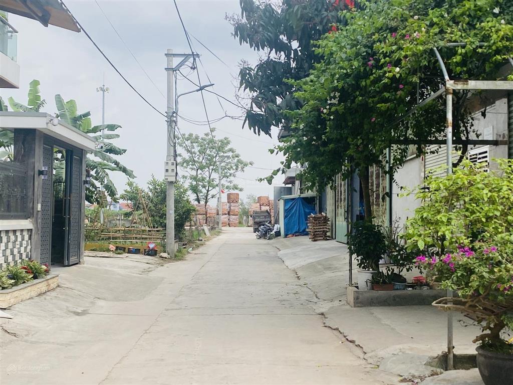 Bán đất đấu giá cạnh vanh đai 4 bán kính 500m là các kđt hud và sun mê linh nhỉnh 4 ty