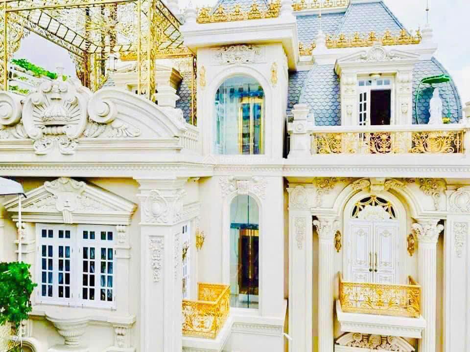 Bán biệt thự lâu đài dát vàng trung tâm quận 1 đường nguyễn đình chiểu (cây điệp)