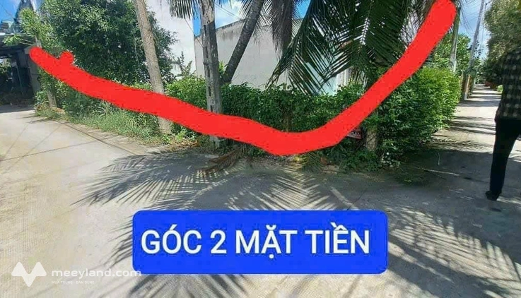Bán gấp lô góc 2 mặt tiền, 120m2, thị trấn Thủ Thừa, giá chỉ 700 triệu
