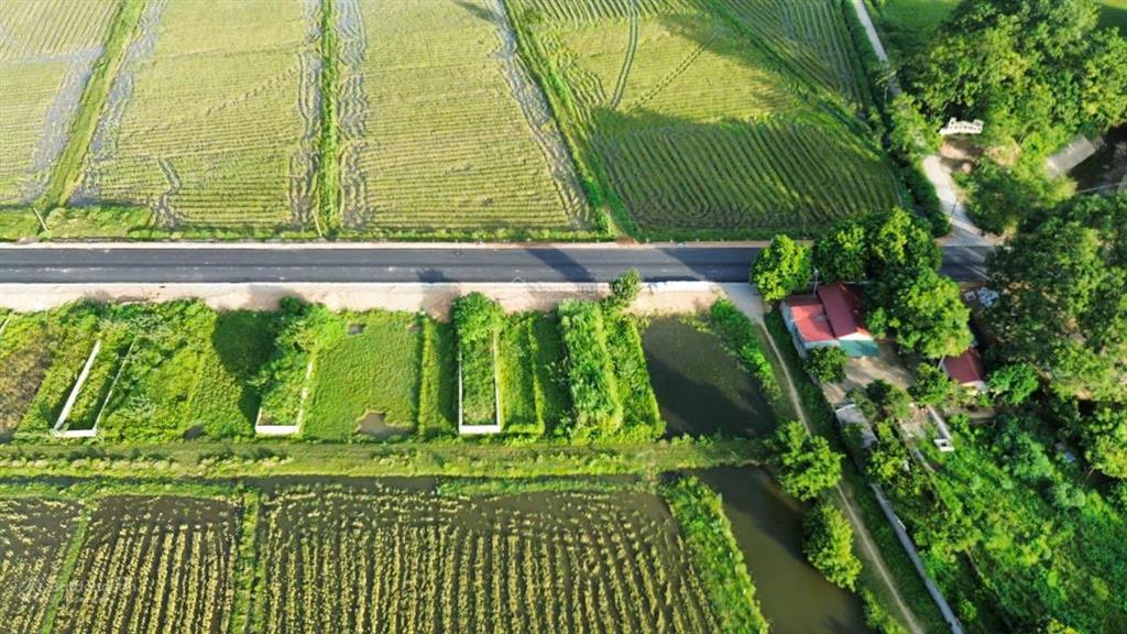 Chính chủ gửi bán lô đất cách đường hồ chí minh 150m, dt 100m2, đất vuông vắn, đã có sổ đỏ