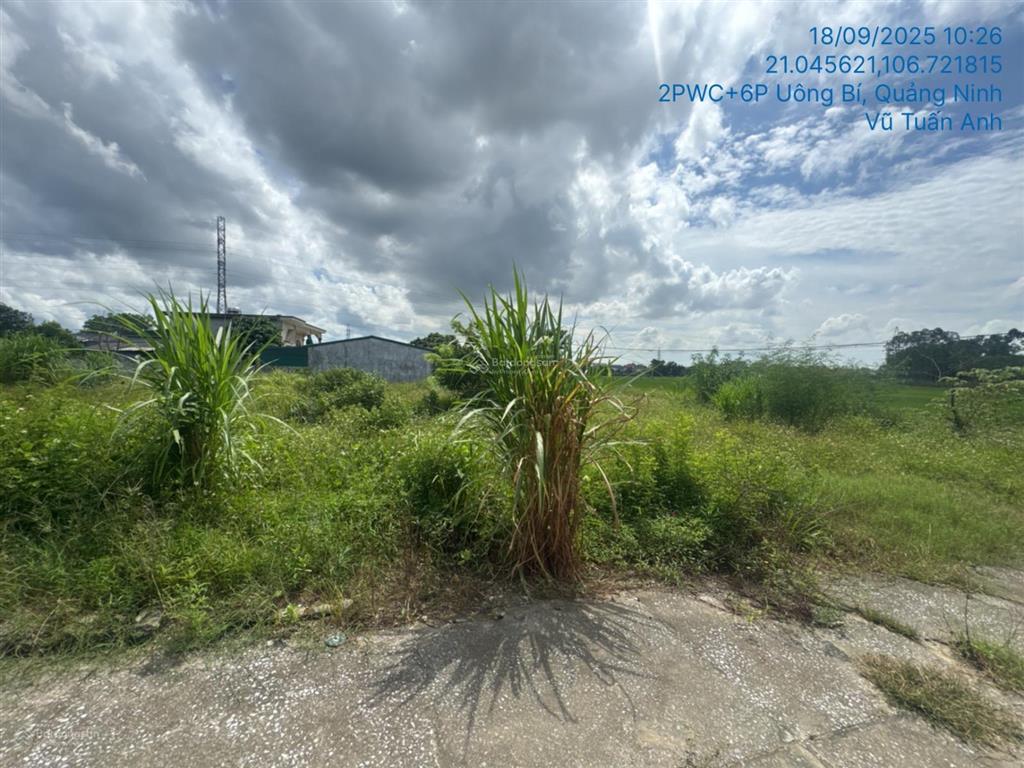 Ngân hàng thanh lý 133,5m2 đất tại td417, khu đồng minh, phương đông, uông bí, quảng ninh02643654