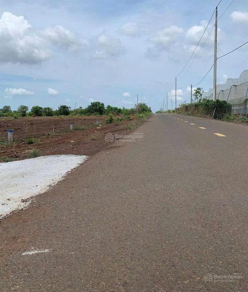 Đất mặt tiền 6m long đất, vũng tàu, gần cơ quan hành chính