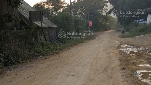 669tr có ngay 700m² đất chữa lành cho tâm hồn tịnh, view cánh đồng tại tú lý đà bắc hòa bình