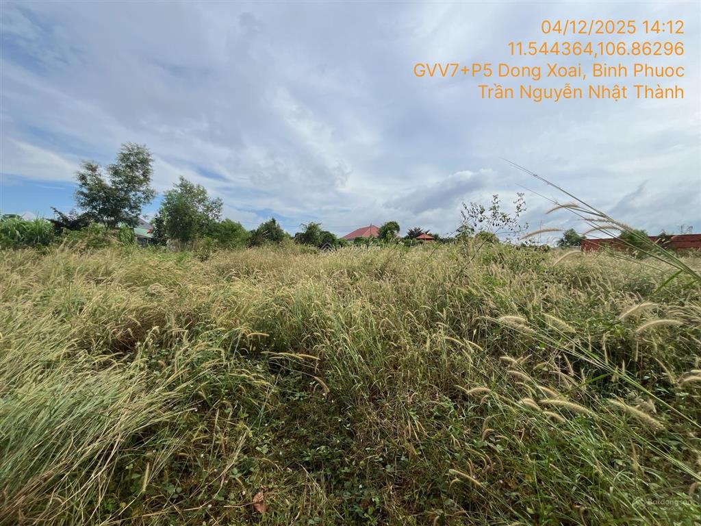 Ngân hàng thanh lý lô đất tại tiến thành, đồng xoài, bình phước. diện tích 166.9m2/lô 0965 833 ***