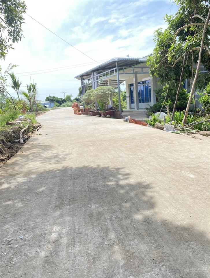 Bán 8250m2 đất có nhà cấp 4 đường xe ô tô cách chợ cái tàu hạ 800m, tại an nhơn, châu thành cũ