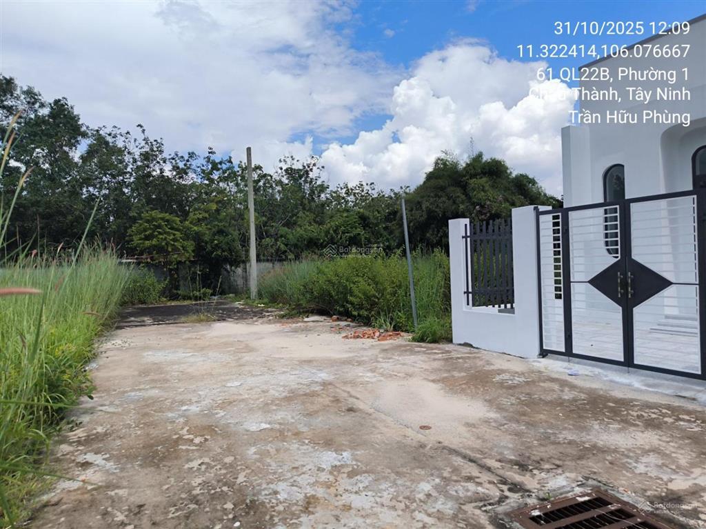 Bán đất ấp bình phong, thái bình, châu thành, tây ninh, 99.1m2, pháp lý đầy đủ 04099434