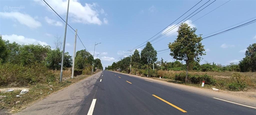 Bán gần 4 ha, mặt đường phước tân hội bài mặt tiền 116m