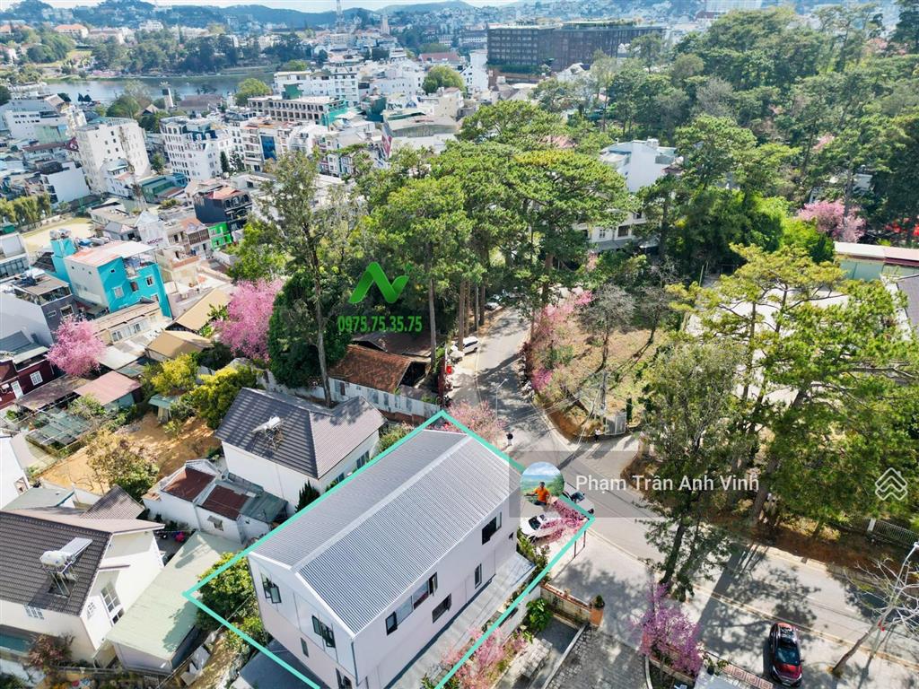 Lô đất đẹp mặt tiền đường lý tự trọng nằm dưới rừng thông trung tâm tp. đà lạt